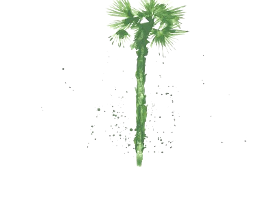 Música i llibres / Music and Books